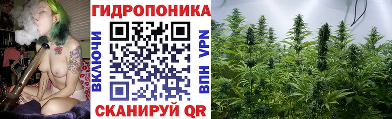 Шишки марихуана Ganja купить закладку blacksprut ССЫЛКА Костомукша